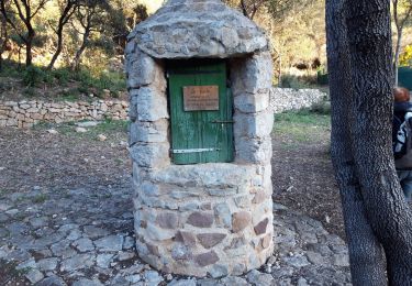 Trail Walking La Valette-du-Var - le tour du Coudon  - Photo