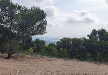 Tocht Stappen Ceyreste - Ceyreste Vallon de Gendame - Photo