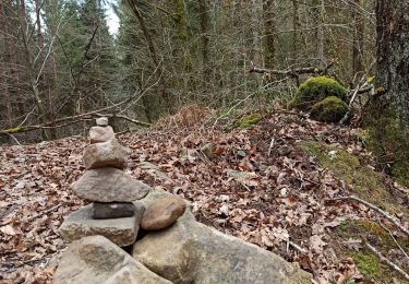 Tocht Stappen Fougerolles-Saint-Valbert - 09-04-22 moulin Courbette-ermitage...  - Photo