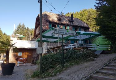 Trail Walking Oberhaslach - Cascade et château du Nideck - petit tour - Photo