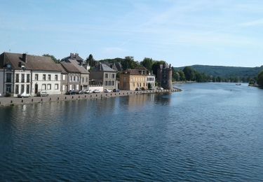 Trail Hybrid bike Villeneuve-sur-Yonne - Villeneuve <> Joigny - Photo