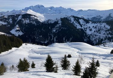 Trail Trail Villard-sur-Doron - Chard du Beurre-Chardons-Covetan(17.5K 600D+) - Photo