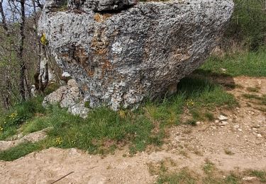 Trail Walking Saint-Pierre-d'Alvey - Mont Tournier pierre vire-28-04-23 - Photo