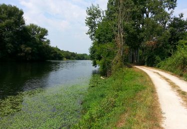 Tour Wandern Montrichard Val de Cher - Bourré - 05 07 2015 - Photo