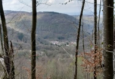 Tour Wandern Boyeux-Saint-Jérôme - Le Ravaclet - Les Balmettes - Photo