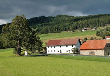 Randonnée A pied Pöllau - Wanderweg 2 - Photo