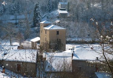 Tour Wandern Sainte-Croix-Volvestre - Sainte Croix Volvestre, boucle de 13km - Photo