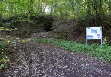 Excursión A pie Dörzbach - Pfad der Stille (Dörzbach) - Photo