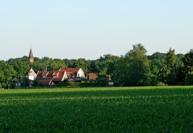 Excursión A pie Losser - Wandelnetwerk Twente - groene route - Photo