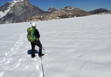 Trail Walking Pralognan-la-Vanoise - la Vanoise  - Photo