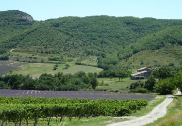 Randonnée Marche Valvignères - Intras 6km - Photo