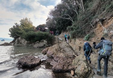 Trail Walking Hyères - Tour de la Presqu'île de Giens-05-04-23 - Photo
