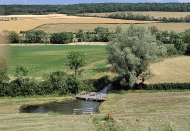 Excursión Senderismo Vandenesse-en-Auxois - panthiers  - Photo