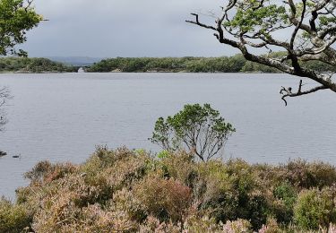 Randonnée Marche Killarney Municipal District - Irlande 2019-08 Muckross Lake - Photo