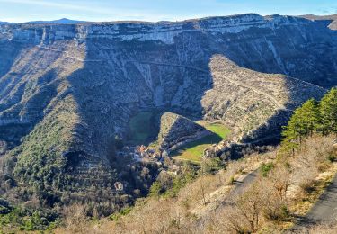 Trail Walking Saint-Maurice-Navacelles - Le cirque de Navacelles du 02-02-2024 - Photo