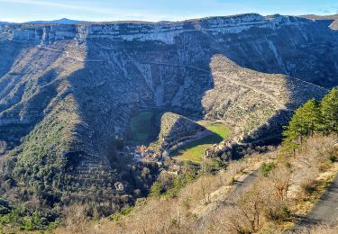 Tocht Stappen Saint-Maurice-Navacelles - Le cirque de Navacelles du 02-02-2024 - Photo