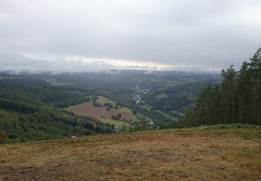 Randonnée Marche Stavelot - boucle Ster  - Photo
