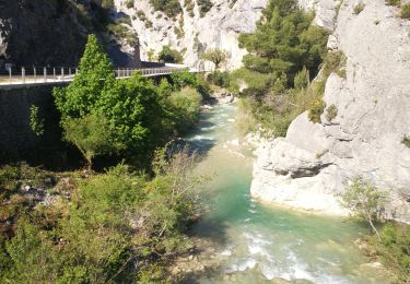Trail Walking Buis-les-Baronnies - Buis - Baume Noire - Photo