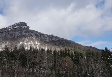 Tocht Stappen Le Gua - L'Eperrimont  ou l'Indien en mode hivernal - Photo