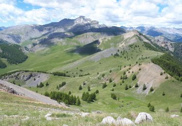 Trail Walking Roubion - Vignols et Mt Gravieres par Roubion - Photo