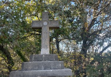 Trail Walking Carnas - Le bois de Feuillade - Photo