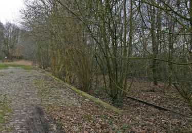 Randonnée A pied Hünxe - Peddenberg Rundweg A6 - Photo