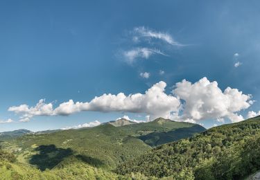 Randonnée A pied Monchio delle Corti - Rigoso-Lago Squincio-Lago Verdarolo-Prato Spilla - Photo