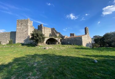Trail Walking Saint-Bauzille-de-Montmel - Saint Beauzille de Montmel - Photo