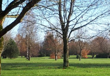 Percorso Marcia Villers-la-Ville - Golf de la Bruyère au départ du Camp (Marbais) - Photo