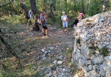 Tocht Stappen Seillans - z seillans 03-10-23 - Photo