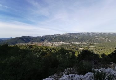 Excursión Senderismo Le Castellet - Les crêtes de Cuges les Pins - Photo