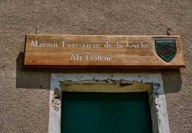 Trail Walking Saint-Agnan-en-Vercors - Les Rancs de Charles - Vercors - La Coche - Photo