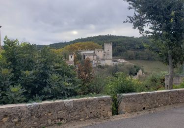 Excursión Senderismo Esparron-de-Verdon - Le lac d'Esparon et le site de la salle à manger - Photo