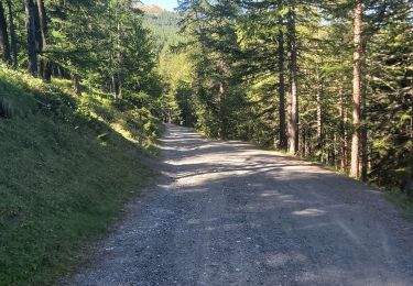 Randonnée Marche Risoul - Crêtes de Penon - Photo