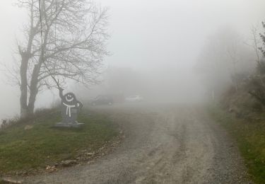 Randonnée Marche Rosis - Sommet de Carroux - Photo