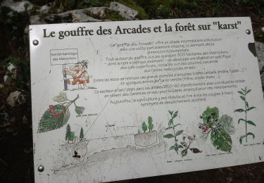 Excursión Senderismo Besain - besain 39.2019 06 06 - Photo