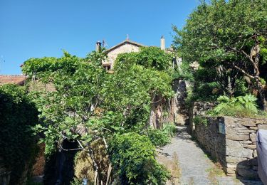 Tocht Stappen Les Vans - Vallée de la Gagniére  - Photo