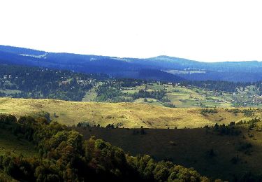 Trail On foot  - Lunca Arieșului - Vârful Vulturese - Rezervația Scărița Belioara - Photo