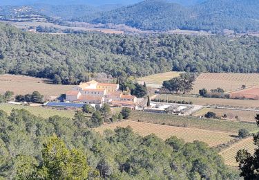 Excursión Senderismo Solliès-Pont - la croix de la navarre - Photo