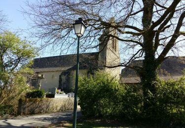 Tocht Stappen Sévignacq - SEVIGNACQ M1 le sentier des moulins - Photo