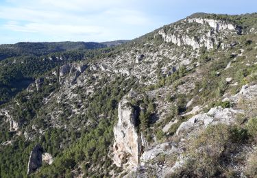 Trail Walking Fontaine-de-Vaucluse - Fontaine de Vaucluse par l'aven de Valescure,  les crêtes et le chateau  - Photo