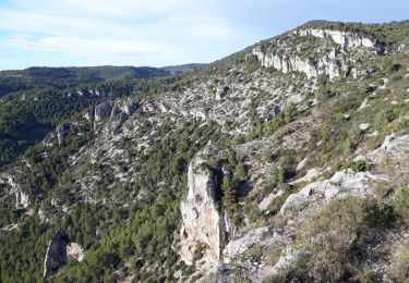 Tour Wandern Fontaine-de-Vaucluse - Fontaine de Vaucluse par l'aven de Valescure,  les crêtes et le chateau  - Photo