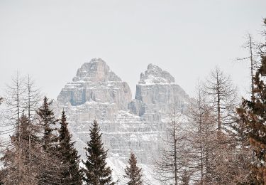 Trail On foot Auronzo di Cadore - IT-120B - Photo