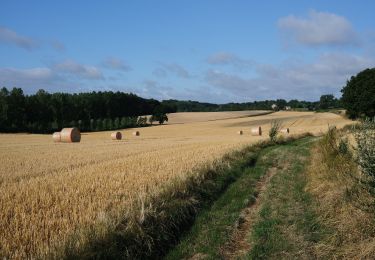 Tour Wandern Jodoigne - SityTrail - Jodoigne 22 km - Photo