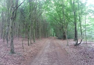 Tour Wandern Comblain-au-Pont - poulseur mix balade croix bleue et croix jaune - Photo