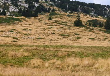 Randonnée Marche Entremont-le-Vieux - 29 juillet 2023 mont Pinet et rocher de la Fita  - Photo