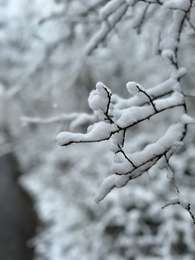 Excursión A pie Rochefort - ADEPS 2025 20km blaireaux-22847941 - Photo