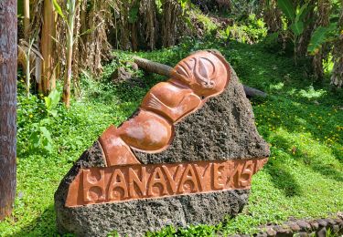 Trail Walking Fatu Hiva - Rando Marquises ile Fatu Hiva 17km - Photo