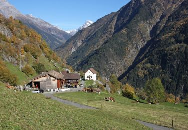 Percorso A piedi Gurtnellen - Arnisee - Gurtnellen - Photo