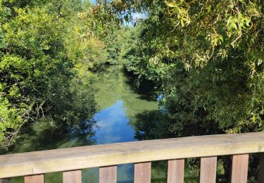 Percorso Bici ibrida La Chapelle-sur-Erdre - R/étape 0 la chapelle sur Erdre à Nantes - Photo